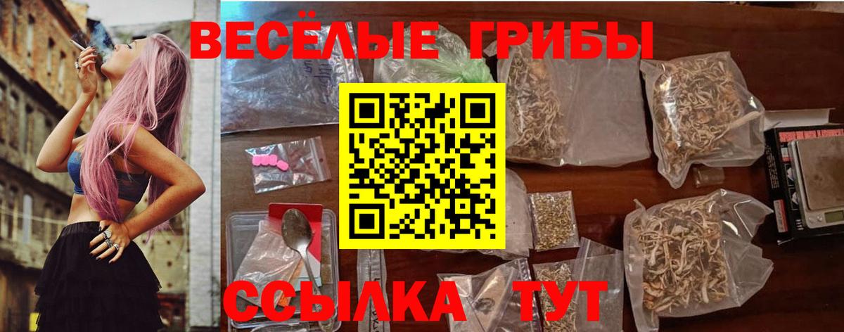 Галлюциногенные грибы MAGIC MUSHROOMS  Вход с VPN  Улан-Удэ 